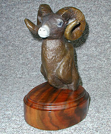 Bighorn Sheep - Spot